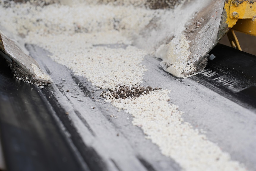 A white fertiliser mix made up of urea and sulphate of ammonia on a conveyor belt
