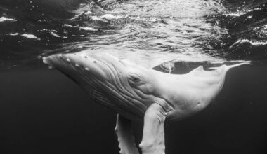 11 captivating images from the Exposure One Photography Awards