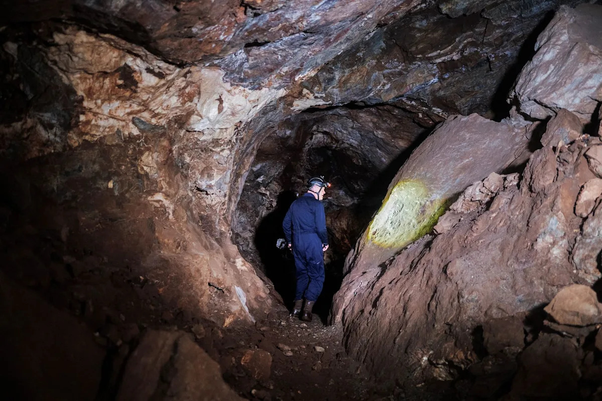 South Africa cave fossils puzzle scientists after every Homo naledi sample tests female