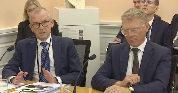 Former solicitor-general to investigate flop $33m govt IT project