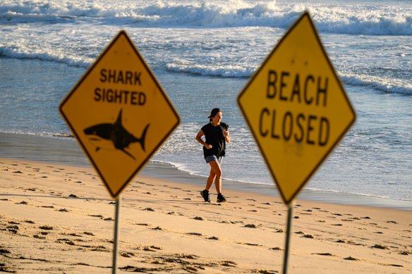 Beaches in Sydney were closed in January after multiple shark attacks. 
