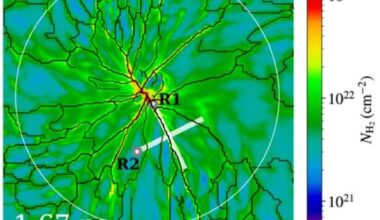 In recent years, astronomers have discovered networks of filaments around star-formation sites inside giant molecular clouds. Scientists have theorized what might be going on, and if these filaments are behind the low-efficiency of star-formation. New simulations show what's happening, and how shock waves from supernovae play a role. Image Credit: Shingo Nozaki and Shu-ichiro Inutsuka 2026 ApJL 1000 L31.