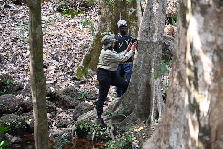 Two people standing near a tree attaching a camera to its trunk