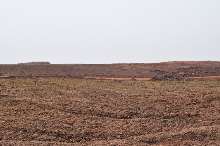 A bare savanna landscape