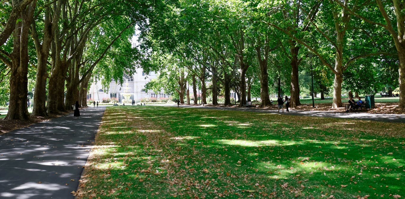Trees and greenery can cool cities by as much as 18°C – but only if they’re the right type