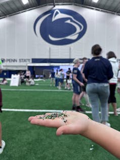 A hand holding tiny colored beads.