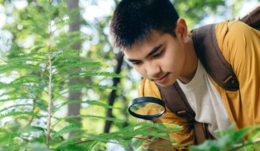 Eco-literate children can be stewards of nature – here’s how to boost environmental education