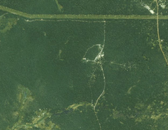 A satellite image showing a dense green area with a few minor roads