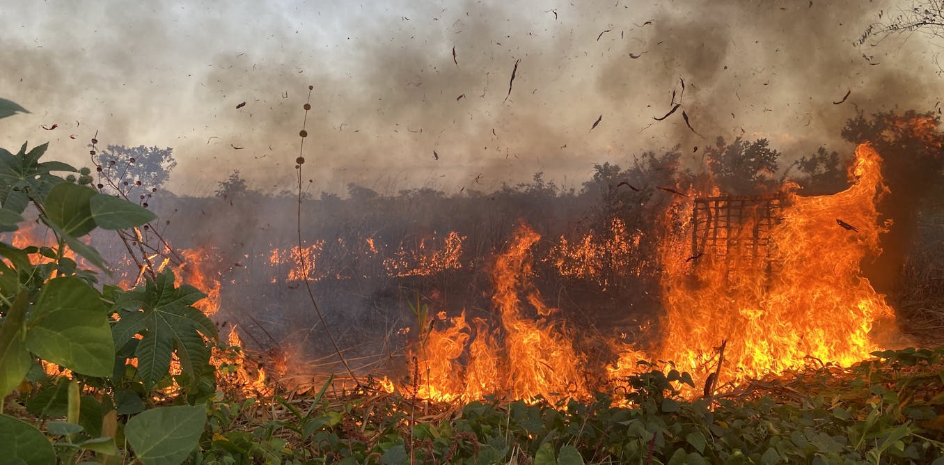 Angola’s long war changed the way farmers used fire – why it matters
