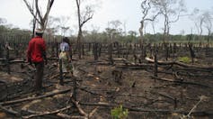 People walking in a burnt field