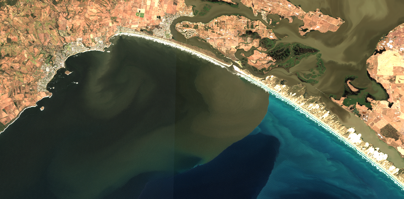 Flooding rains, ocean gains: how a huge Murray flood gave the sea a feast