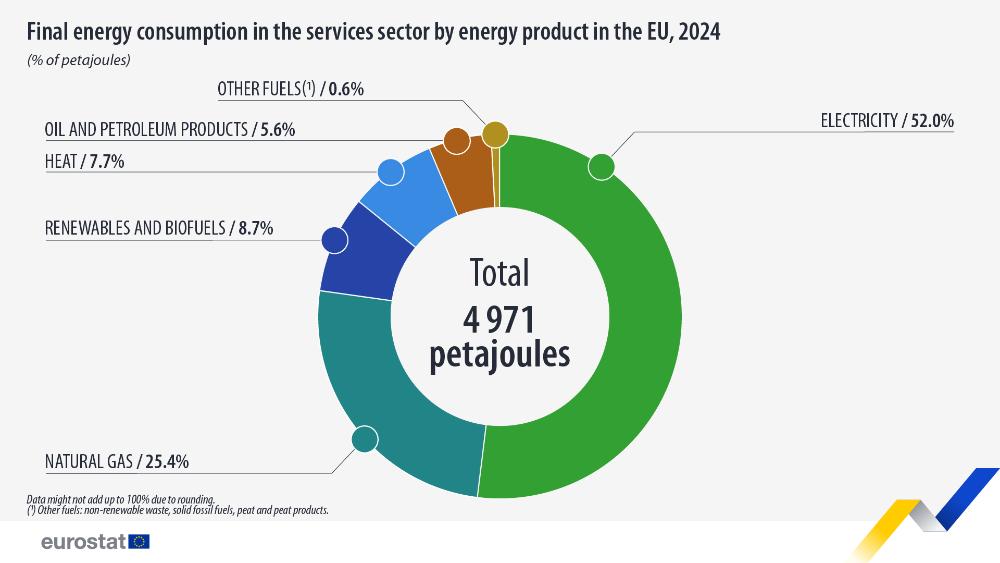 Final energy consumption in the services sector, by energy product in the EU, 2024 (% of petajoules). Pie chart. Link to full dataset below.