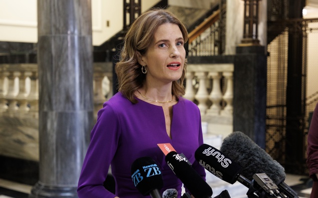 NZ's economic foundations 'have improved', Finance Minister says in wake of GDP growth