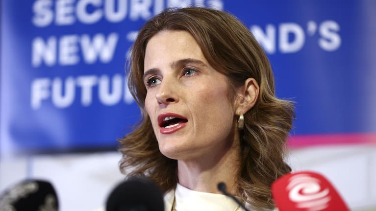 Finance Minister Nicola Willis (file image).