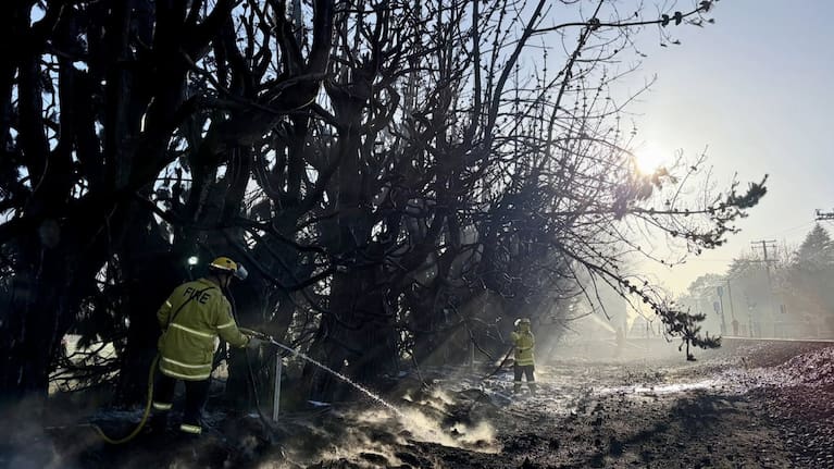 Fire crews put out the blaze by around 11am on Tuesday.