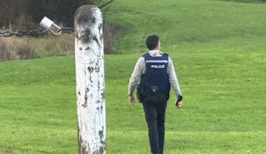 Death of person found in Auckland pond remains 'unexplained'