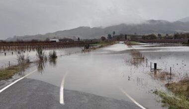 Eight homes evacuated as 200mm deluge causes flooding across Tasman