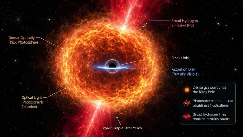 Illustration of a supermassive black hole embedded within a dense, optically thick photosphere. The model predicts stable optical emission and broad hydrogen-line production, consistent with the observed properties of local Little Red Dots. Credit: The Astrophysical Journal (2026). DOI: 10.3847/1538-4357/ae6b89 Forget flickering, these "Little Red Dots" are the universe's most stoic black holes.