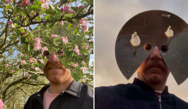 freddie yauner's mirrored masks turn the selfie toward the world