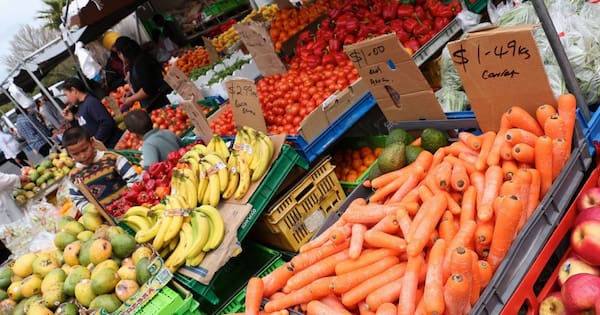 Trust 'very disappointed' after losing licence for Auckland market