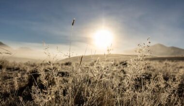 'A cold and frosty' start to the day for many across NZ