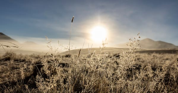 'A cold and frosty' start to the day for many across NZ
