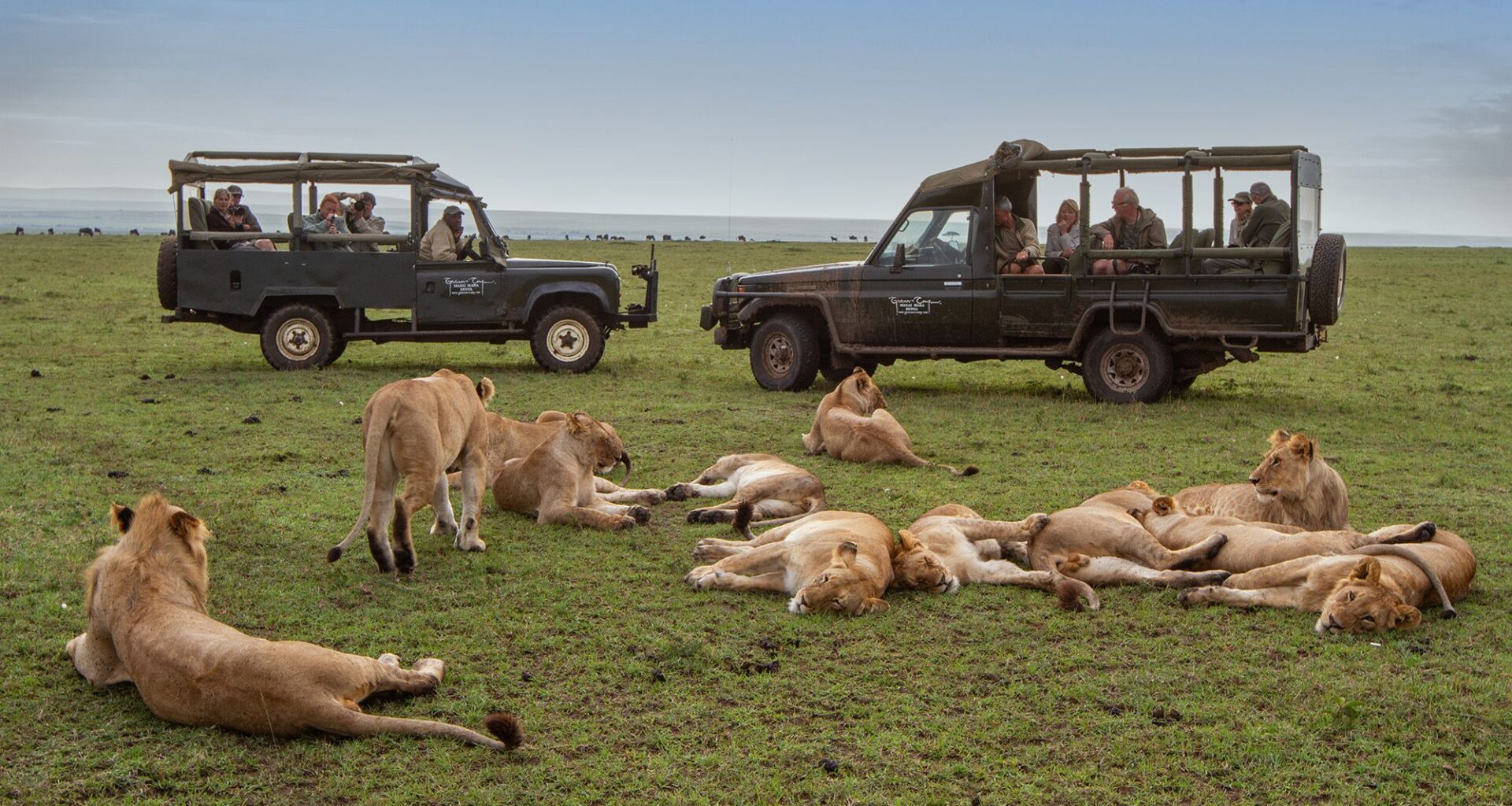 Wildlife photography legends Jonathan and Angela Scott share their tips for Safari Etiquette, promoting their new e-book
