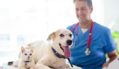 FDA clears emergency use of drug to fight screwworm infections in pets