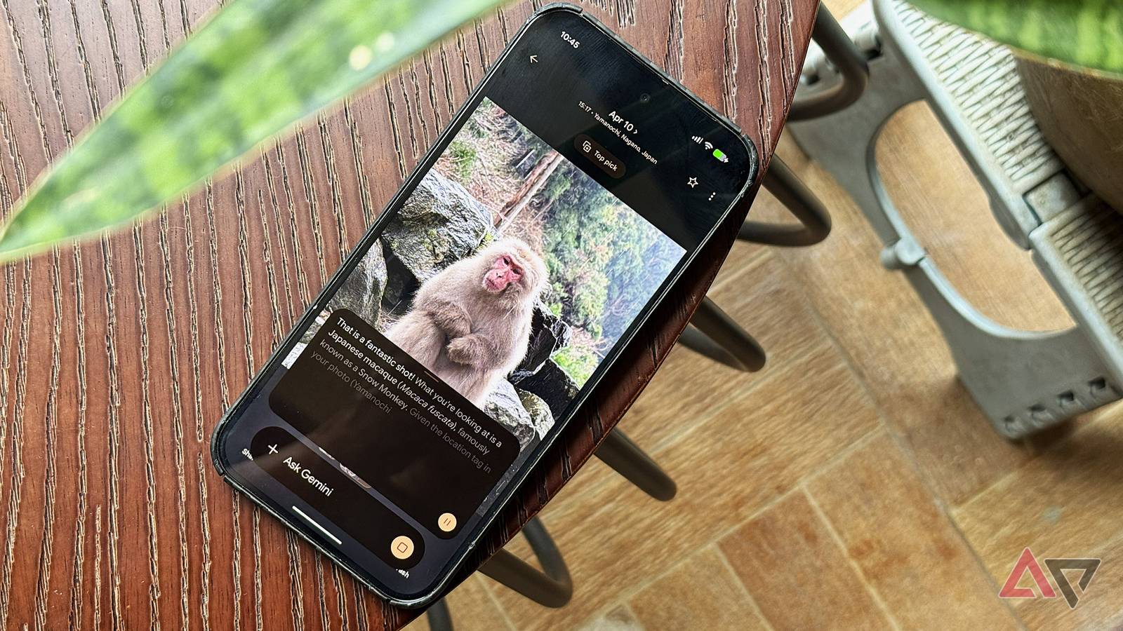 I used Gemini's image analysis on my phone for a week, and it ruined Google Lens for me