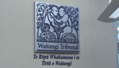Govt proposals on Treaty clauses at centre of Waitangi Tribunal hearing