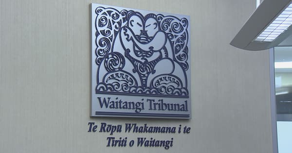 Govt proposals on Treaty clauses at centre of Waitangi Tribunal hearing