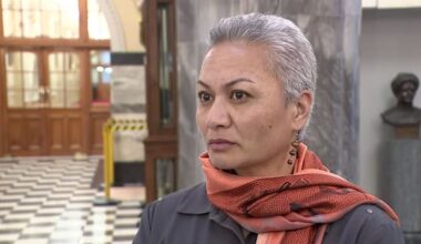 Greens co-leader Marama Davidson apologises for speeding on SH1