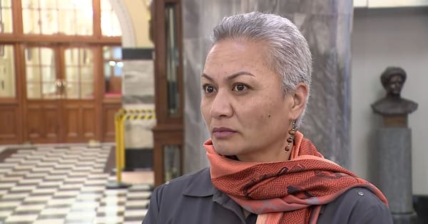Greens co-leader Marama Davidson apologises for speeding on SH1