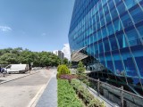 Daylight samples, ultrawide camera (0.6x) - 14mm, f/2.2, ISO 50, 1/1083s (3264x2448px) - Infinix GT 50 Pro review