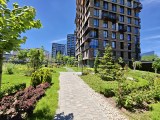 Daylight samples, ultrawide camera (0.6x), 50MP - 15mm, f/2.2, ISO 50, 1/990s (8192x6144px) - Honor Magic V6 review