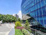 Daylight samples, main camera (1x) - 23mm, f/1.6, ISO 50, 1/2729s (4096x3072px) - Infinix GT 50 Pro review