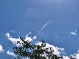 Daylight samples, main camera (2x) - 50mm, f/1.7, ISO 101, 1/2579s (4096x3072px) - Motorola Razr 70 review