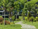 Daylight samples, telephoto camera (6x) - 140mm, f/2.5, ISO 50, 1/300s (4608x3456px) - Honor Magic V6 review