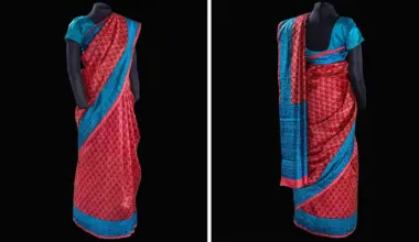 Smithsonian Displays ISRO Scientist's Sari From India's Mars Mission