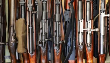 More than 680,000 guns added to digital Firearms Registry