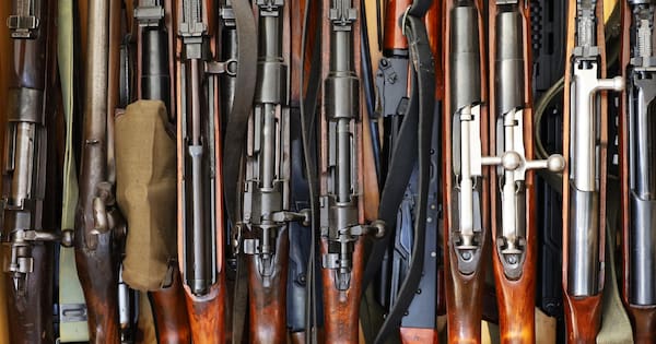 More than 680,000 guns added to digital Firearms Registry