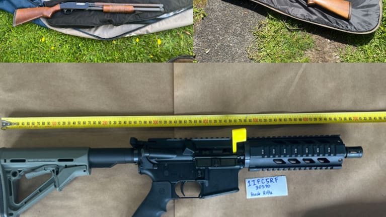 Guns seized during the operation.