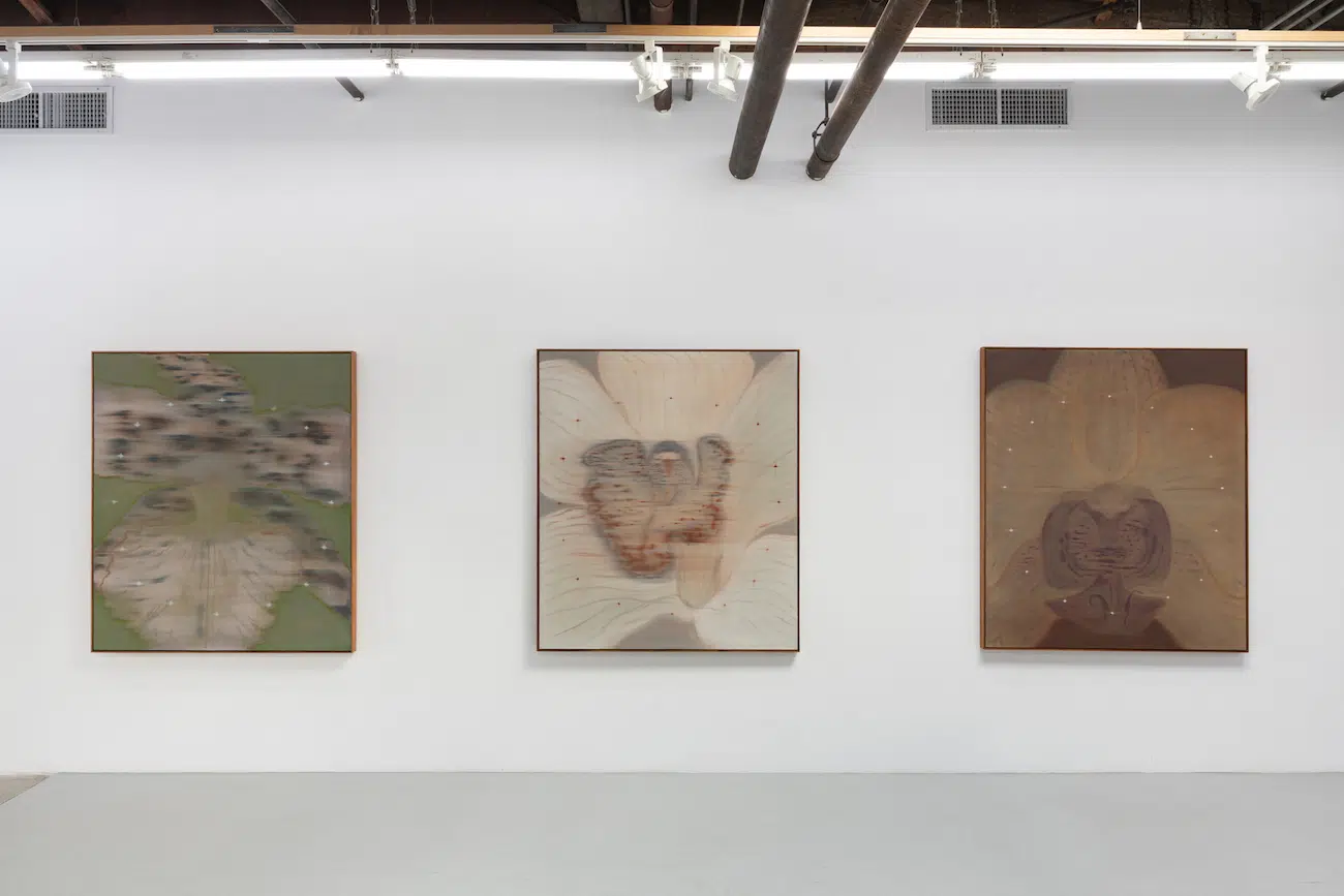 Heath Wae, installation views of “Mineral Meridian” at CARVALHO, New York, 2026.Courtesy Heath Wae and CARVALHO