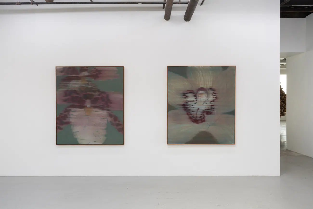 Heath Wae, installation views of “Mineral Meridian” at CARVALHO, New York, 2026.Courtesy Heath Wae and CARVALHO