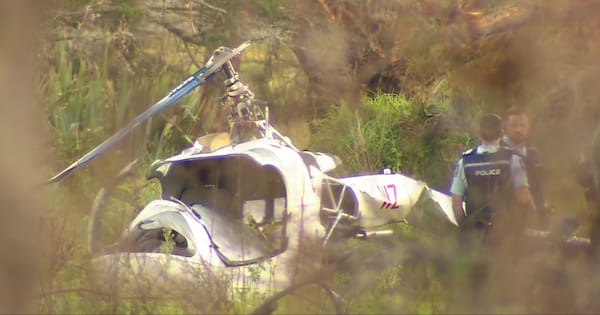 Person injured after helicopter crashes at Auckland's Dairy Flat
