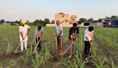 Three generations, one vision: A family’s organic farming legacy