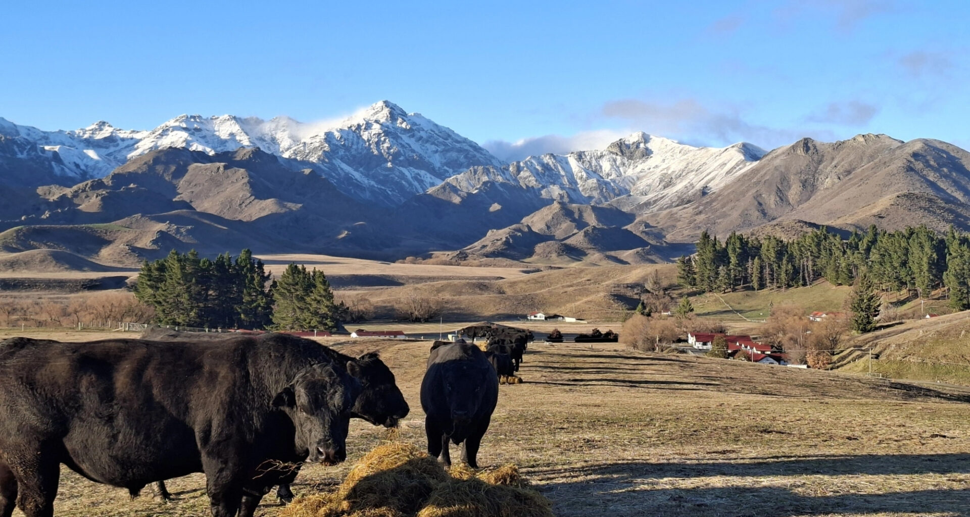 The heartbeat still matters | interest.co.nz