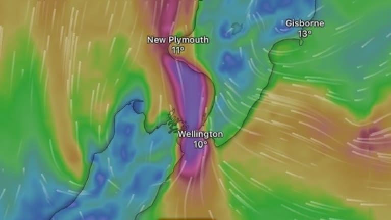 High winds in purple through Cook Strait and up the west coast of the lower North Island on Friday afternoon.