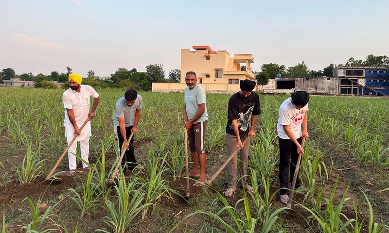 Three generations, one vision: A family’s organic farming legacy
