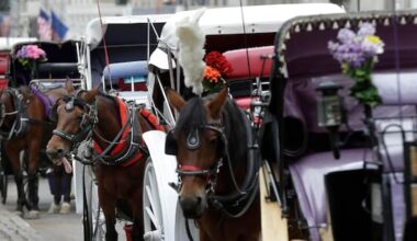 Teen dies after being thrown off horse-drawn carriage in NYC's Central Park